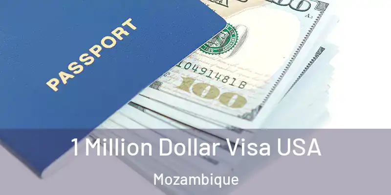 1 Million Dollar Visa USA Mozambique